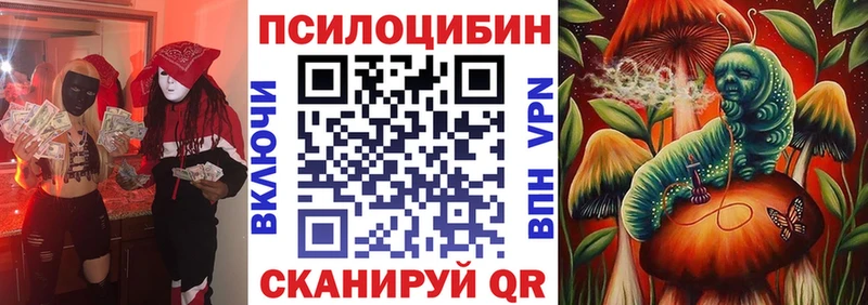 blacksprut зеркало  это формула  Галлюциногенные грибы GOLDEN TEACHER  Чаплыгин 